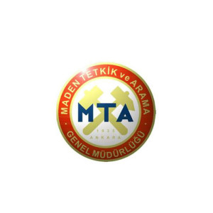 mta-300x300